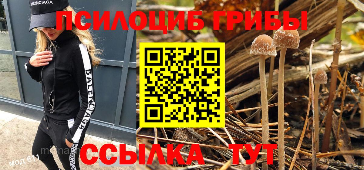 Псилоцибиновые грибы Magic Shrooms  Псилоцибиновые грибы ЛСД  Вход с VPN  Мелеуз 